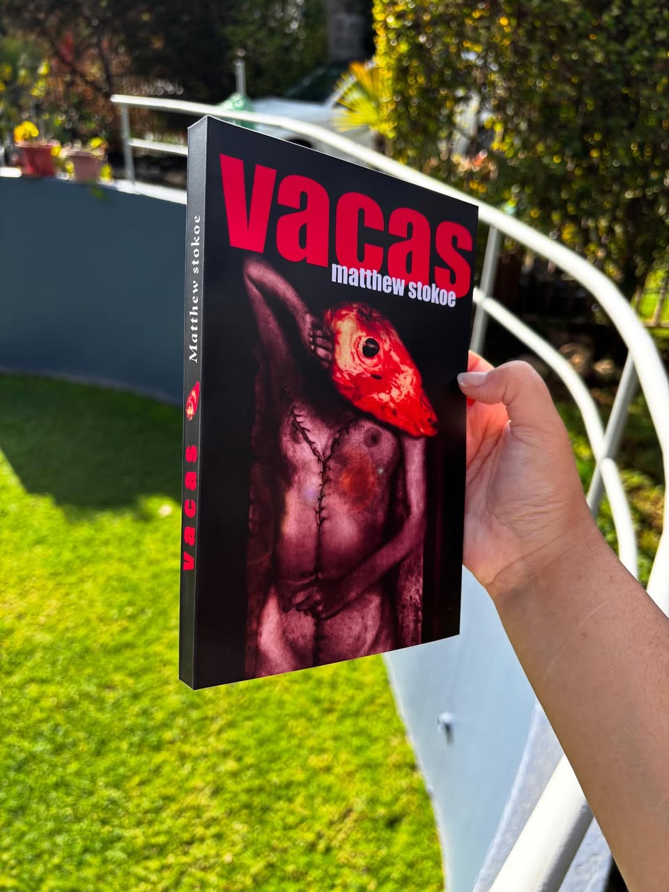 Vacas - Imagen 2