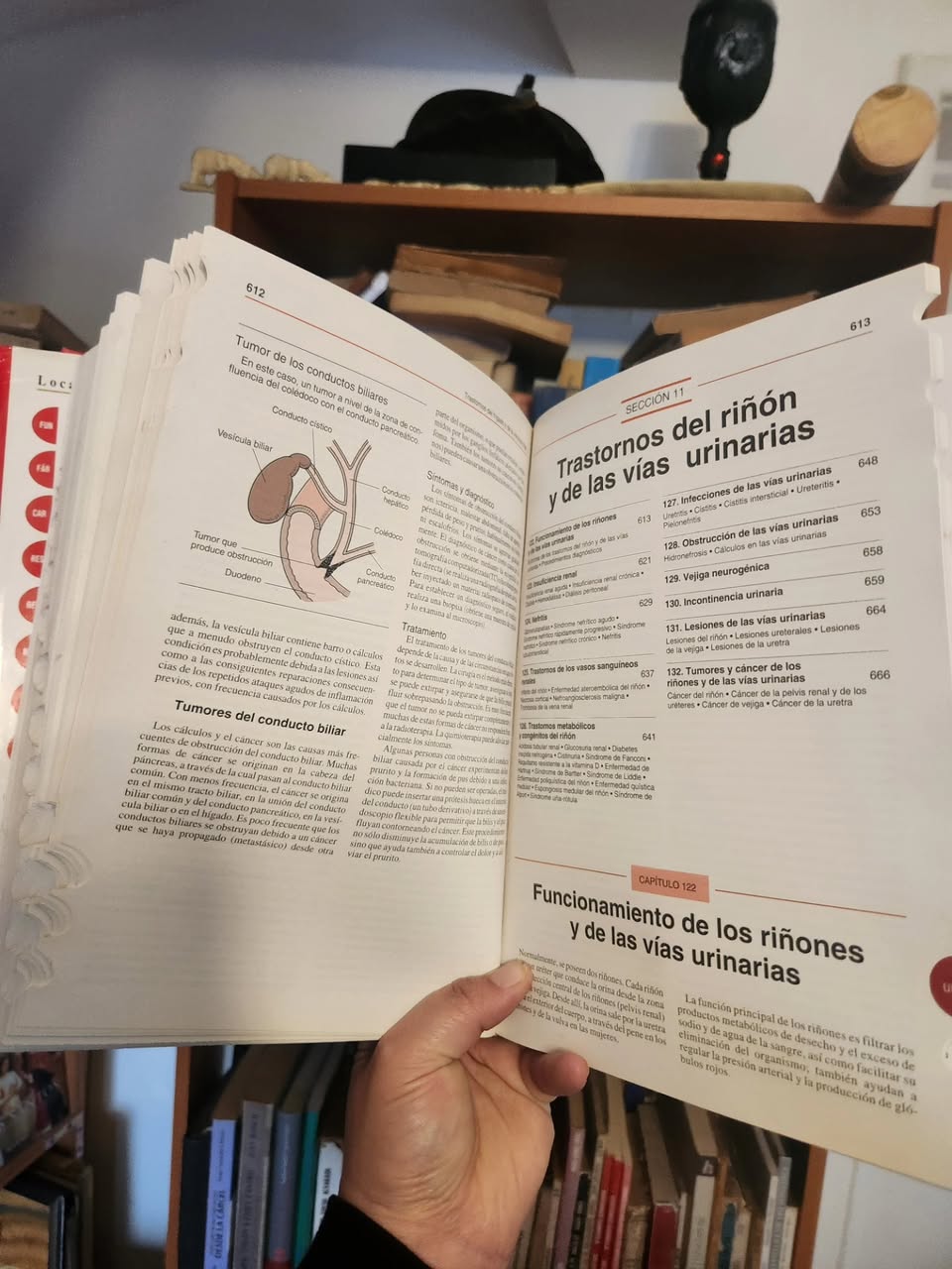 El Manual Merck de información médica para el hogar - Imagen 4