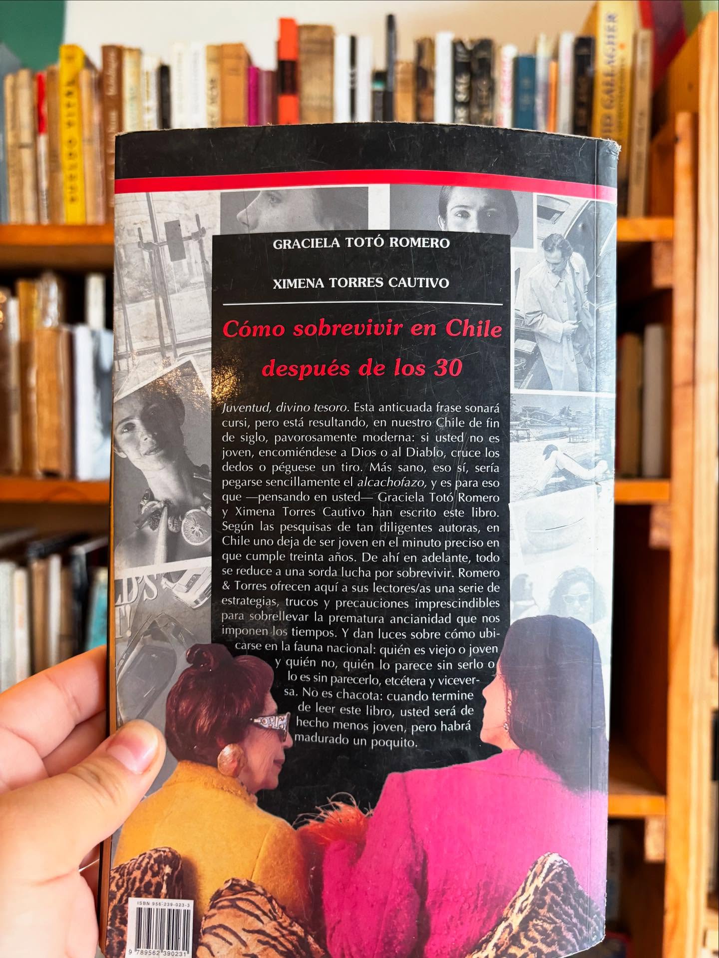 Como sobrevivir en chile después de los 30 - Imagen 5