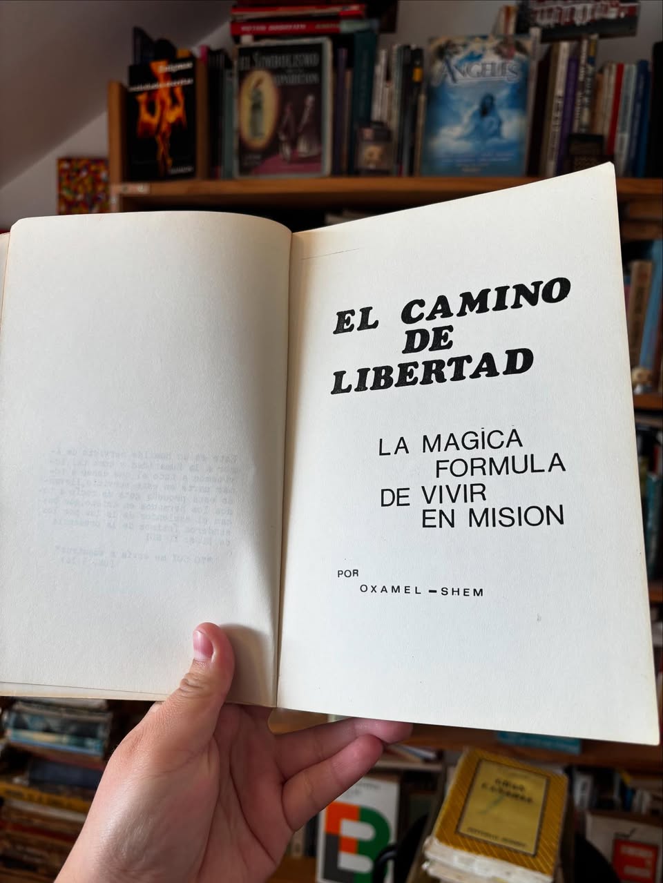 El camino de la libertad - Imagen 2