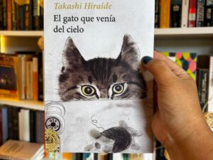 El gato que venía del cielo