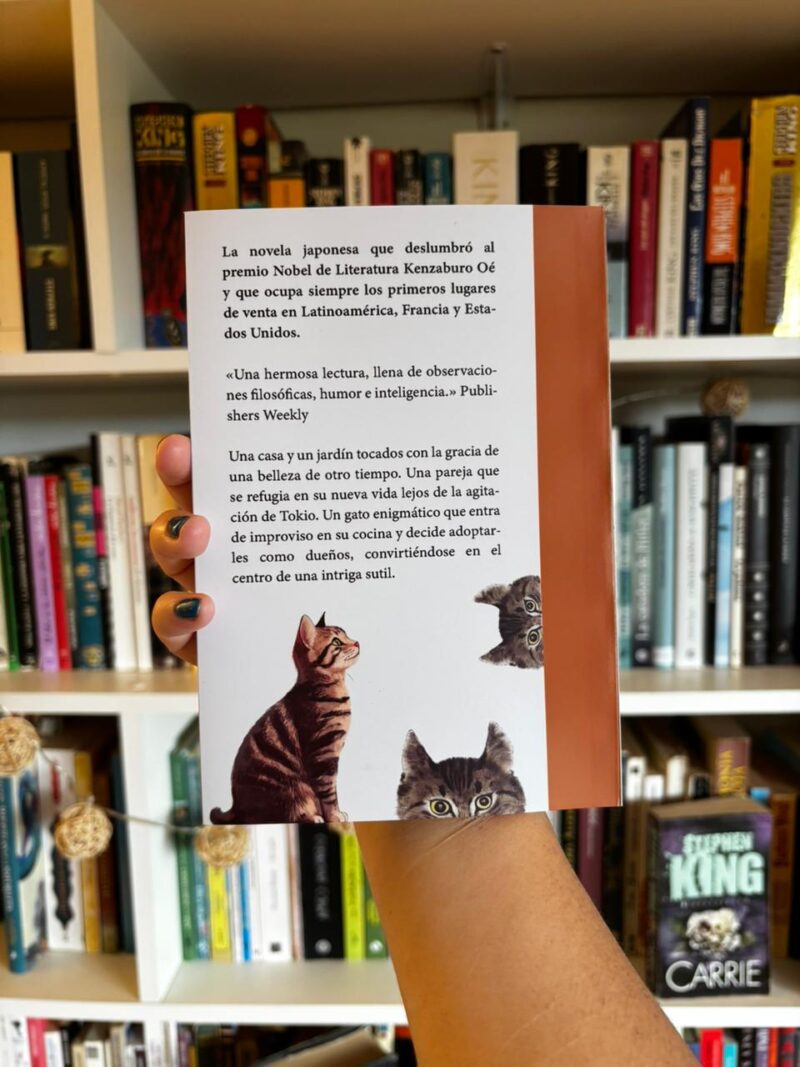 el-gato-que-ven-a-del-cielo-libros-frannie