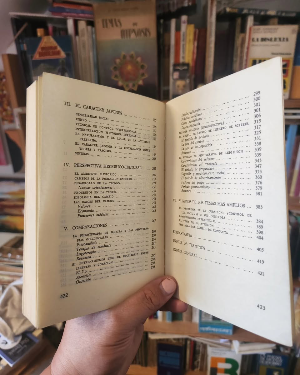 La psicoterapia de Morita - Imagen 4