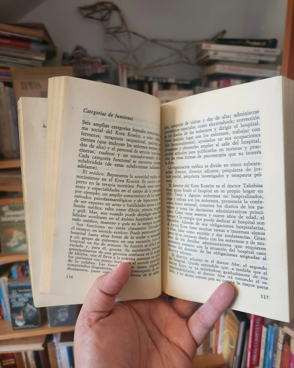 La psicoterapia de Morita - Imagen 5