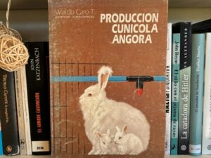 Producción cunicola angora