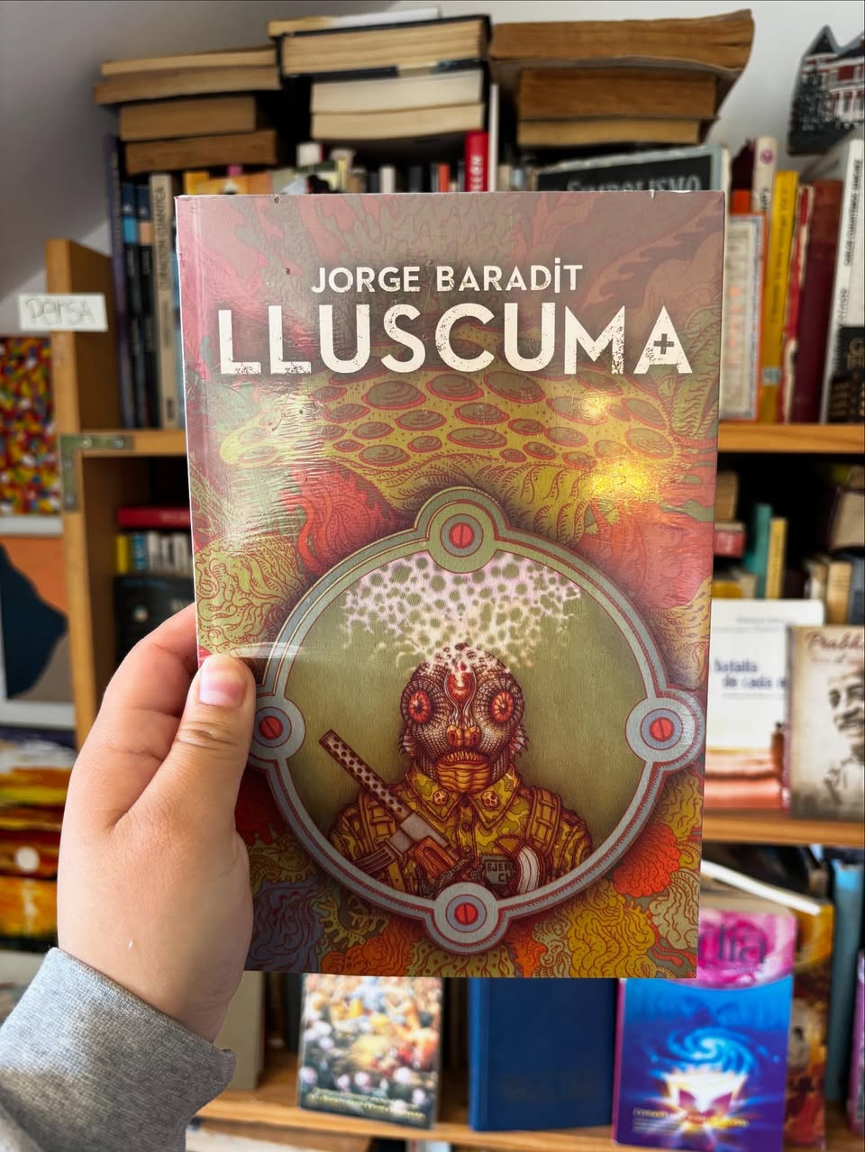 Lluscuma
