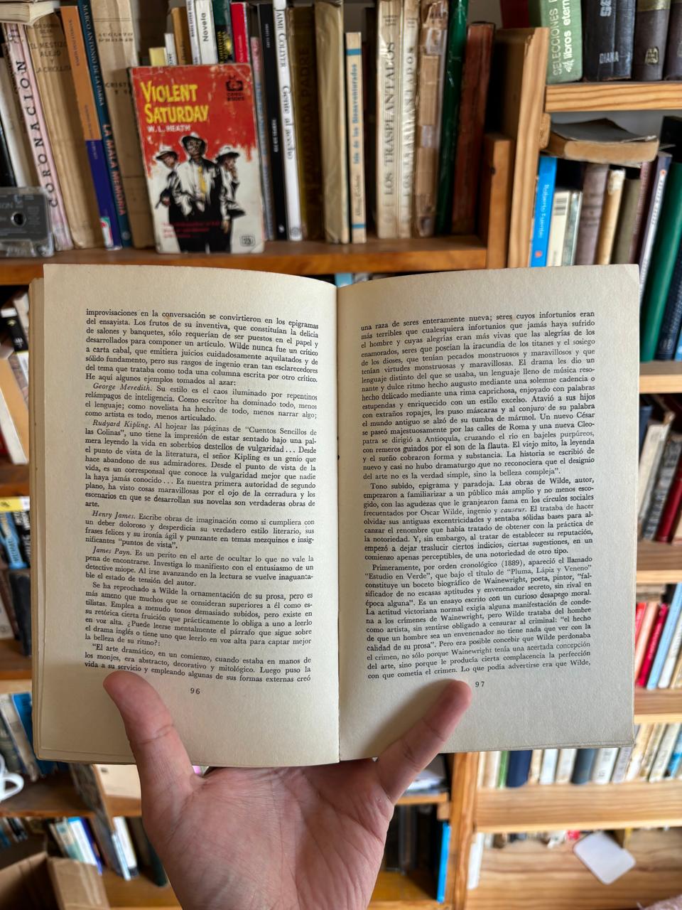 Devaneos y locuras de Oscar Wilde - Imagen 5