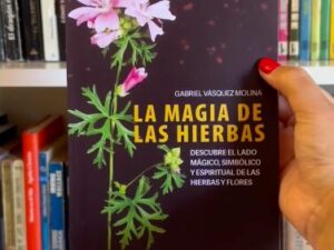 La magia de las hierbas 