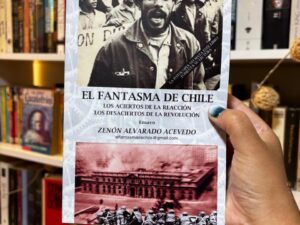 El fantasma de Chile. Los aciertos de la reacción, los desaciertos de la revolución