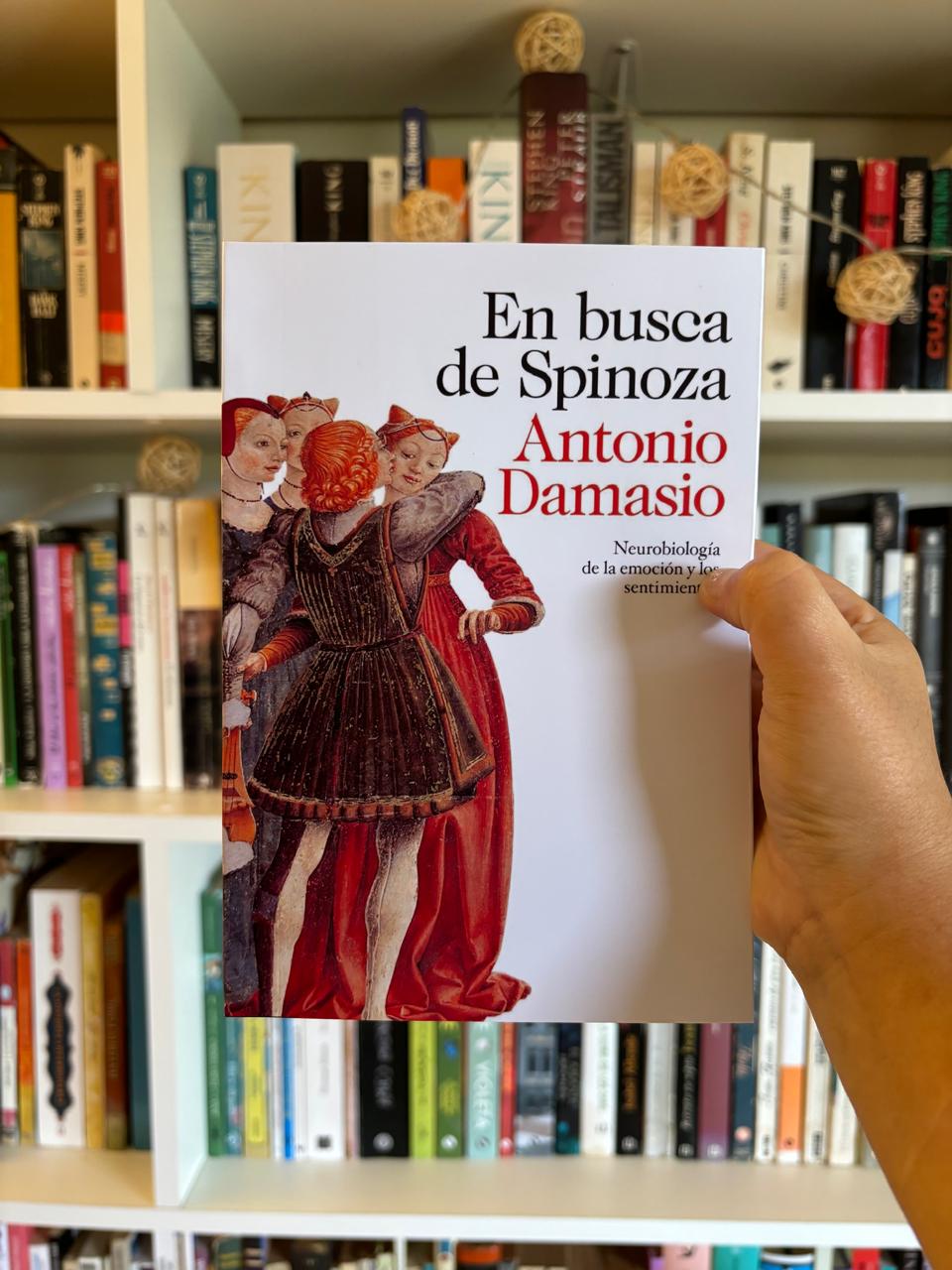 En busca de Spinoza