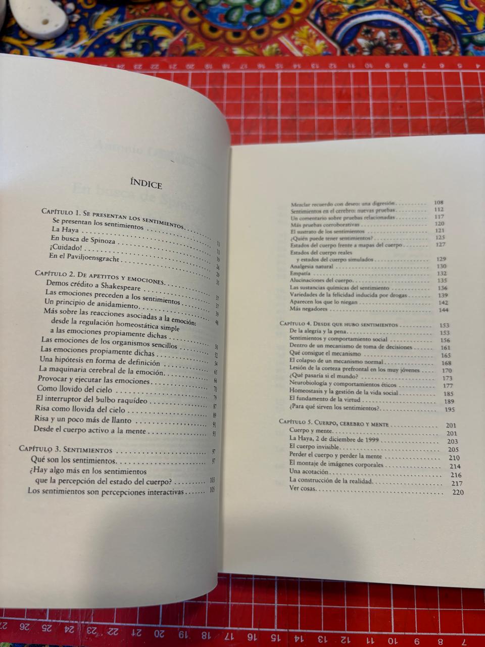 En busca de Spinoza - Imagen 7