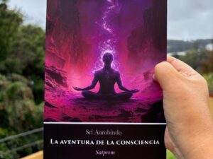 La aventura de la consciencia