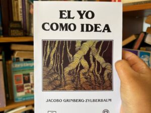 El yo como idea