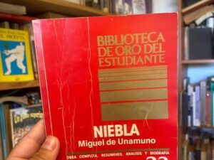 Niebla