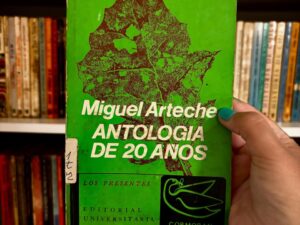 Antología de 20 años