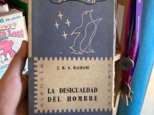 La desigualdad Del hombre