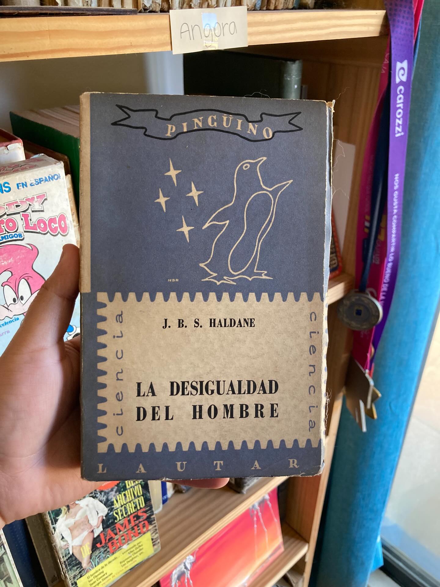 La desigualdad Del hombre