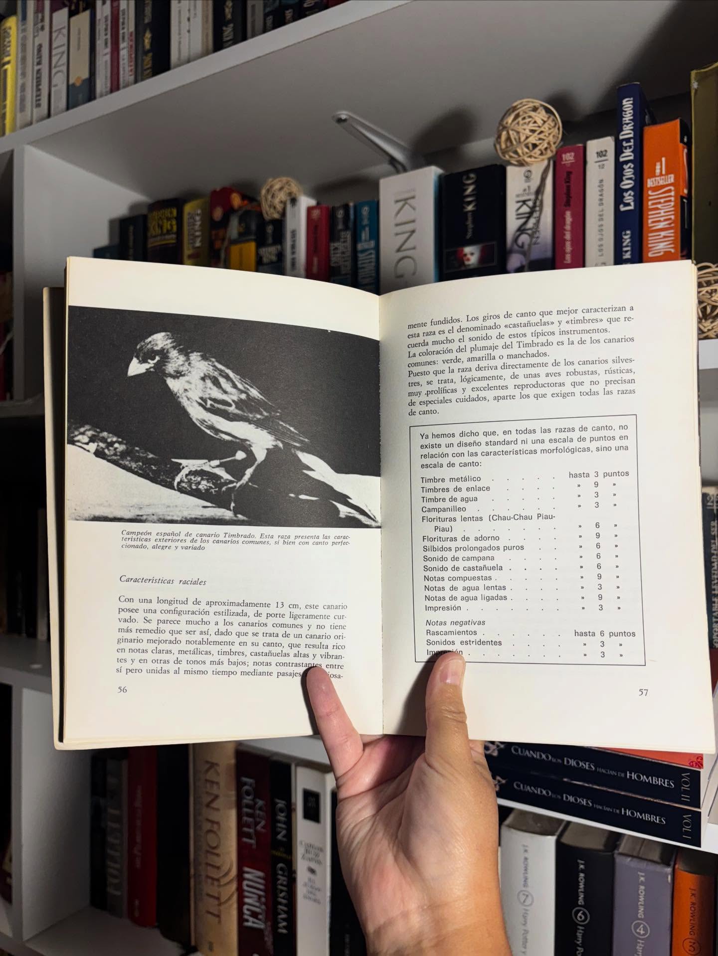 El libro de los canarios - Imagen 8