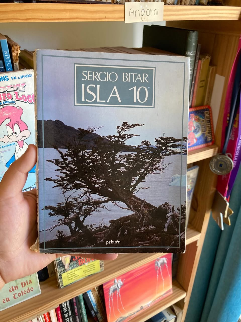 Isla 10