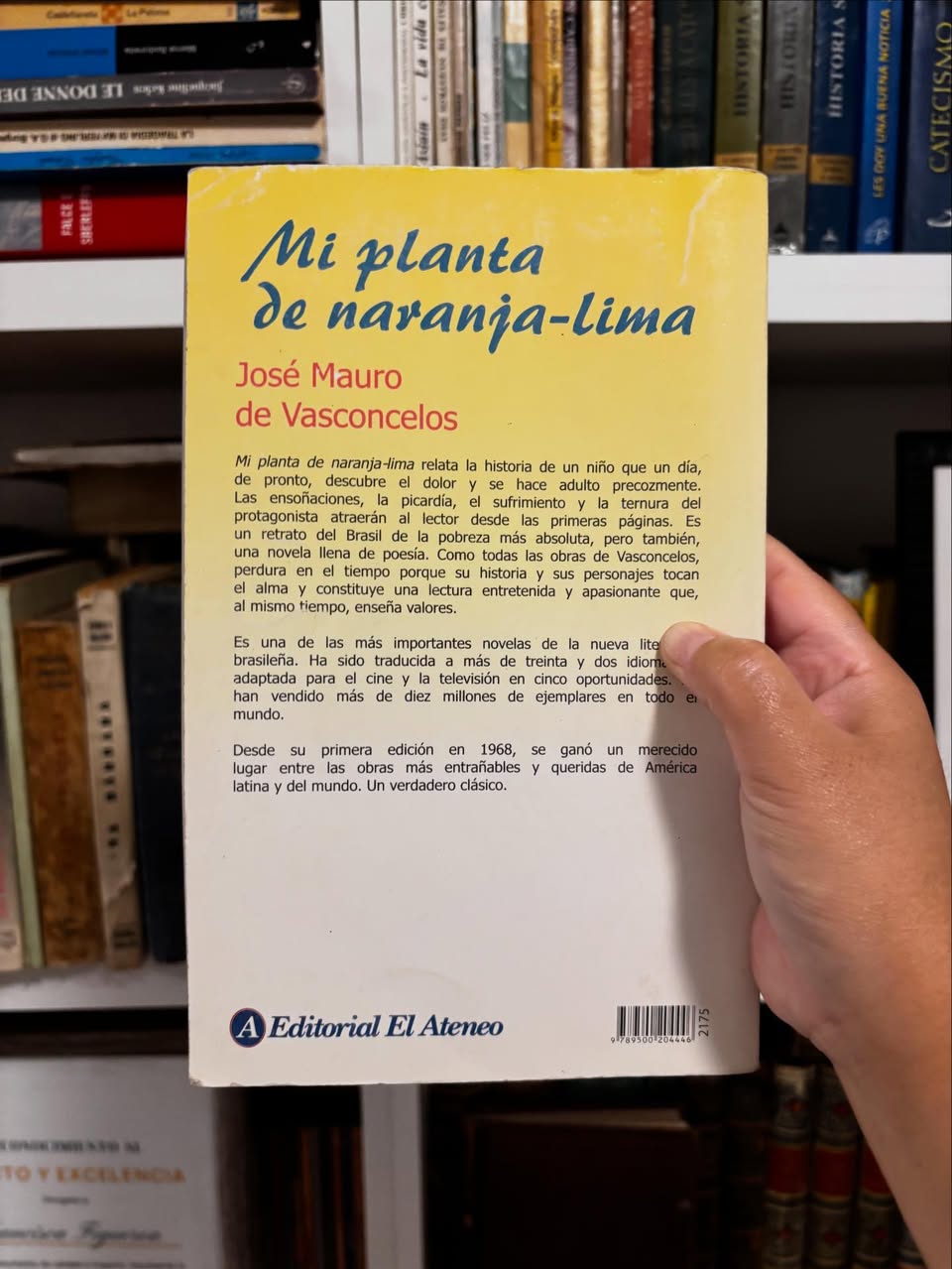 Mi planta de naranja-lima - Imagen 3
