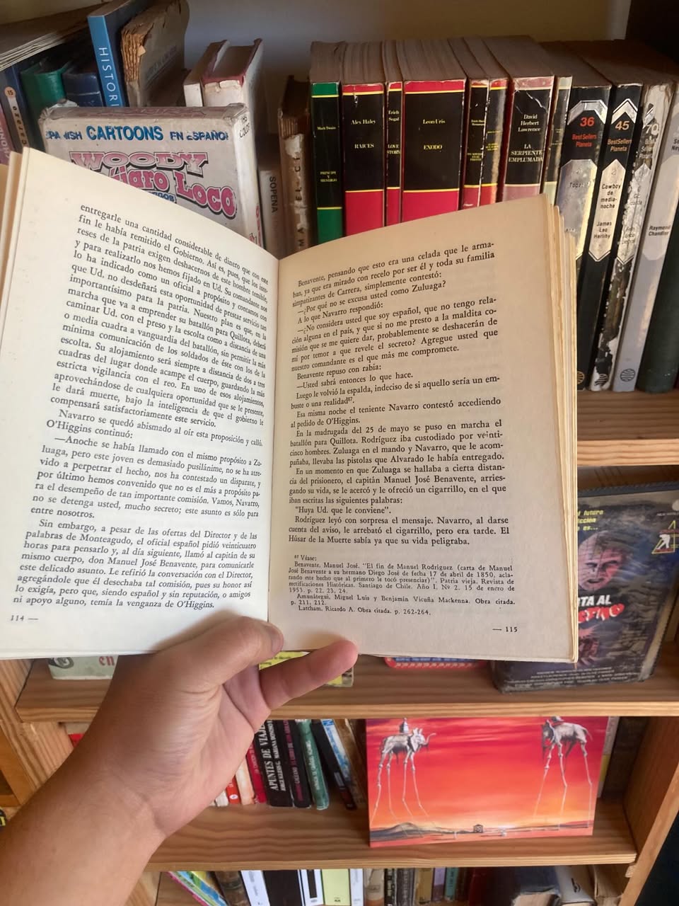 Epopeya De los Húsares - Imagen 5