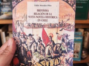 Brevísima relación de la Nueva Novela Histórica en Chile