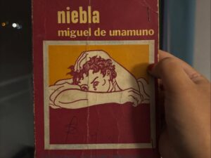 Niebla
