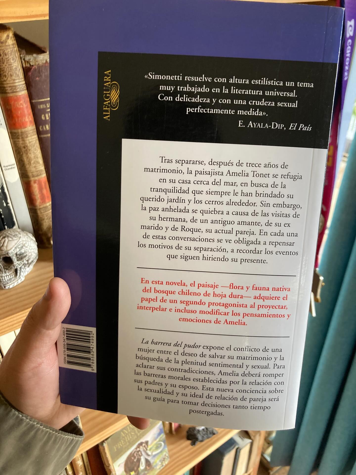 La Barrera del pudor - Imagen 5