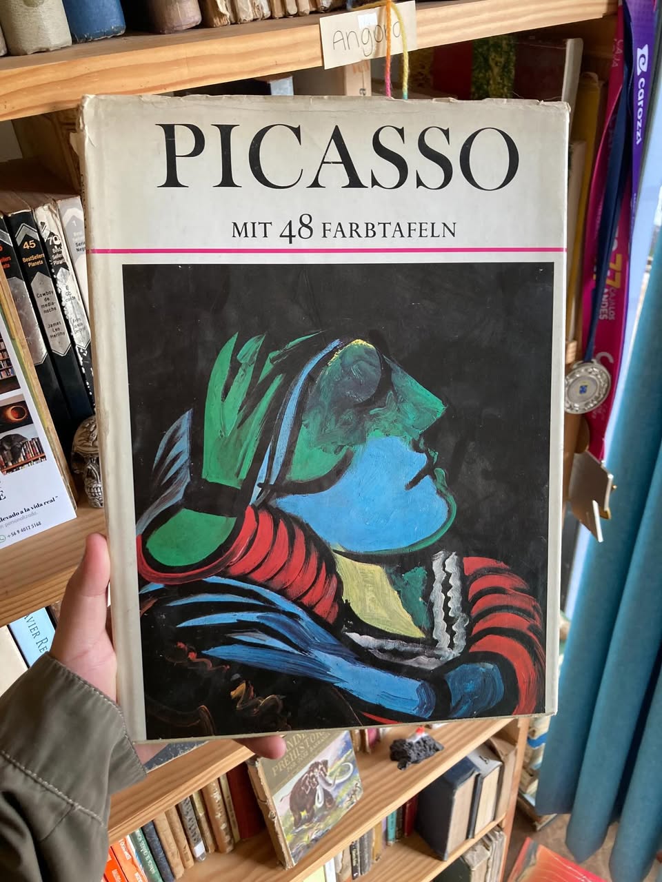 Picasso. Mit 48 Farbtafeln