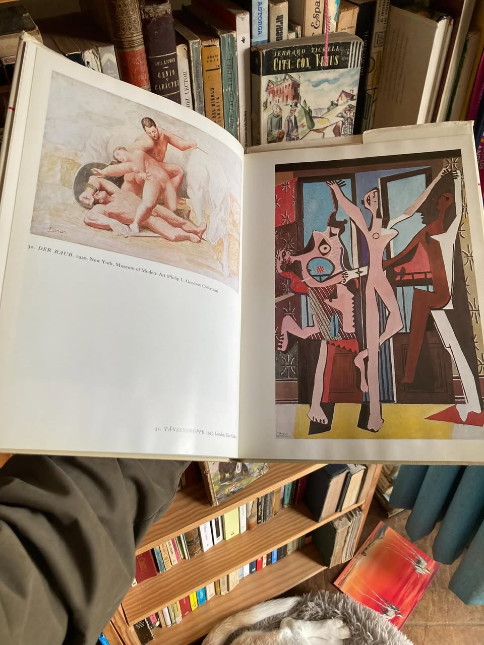 Picasso. Mit 48 Farbtafeln - Imagen 5