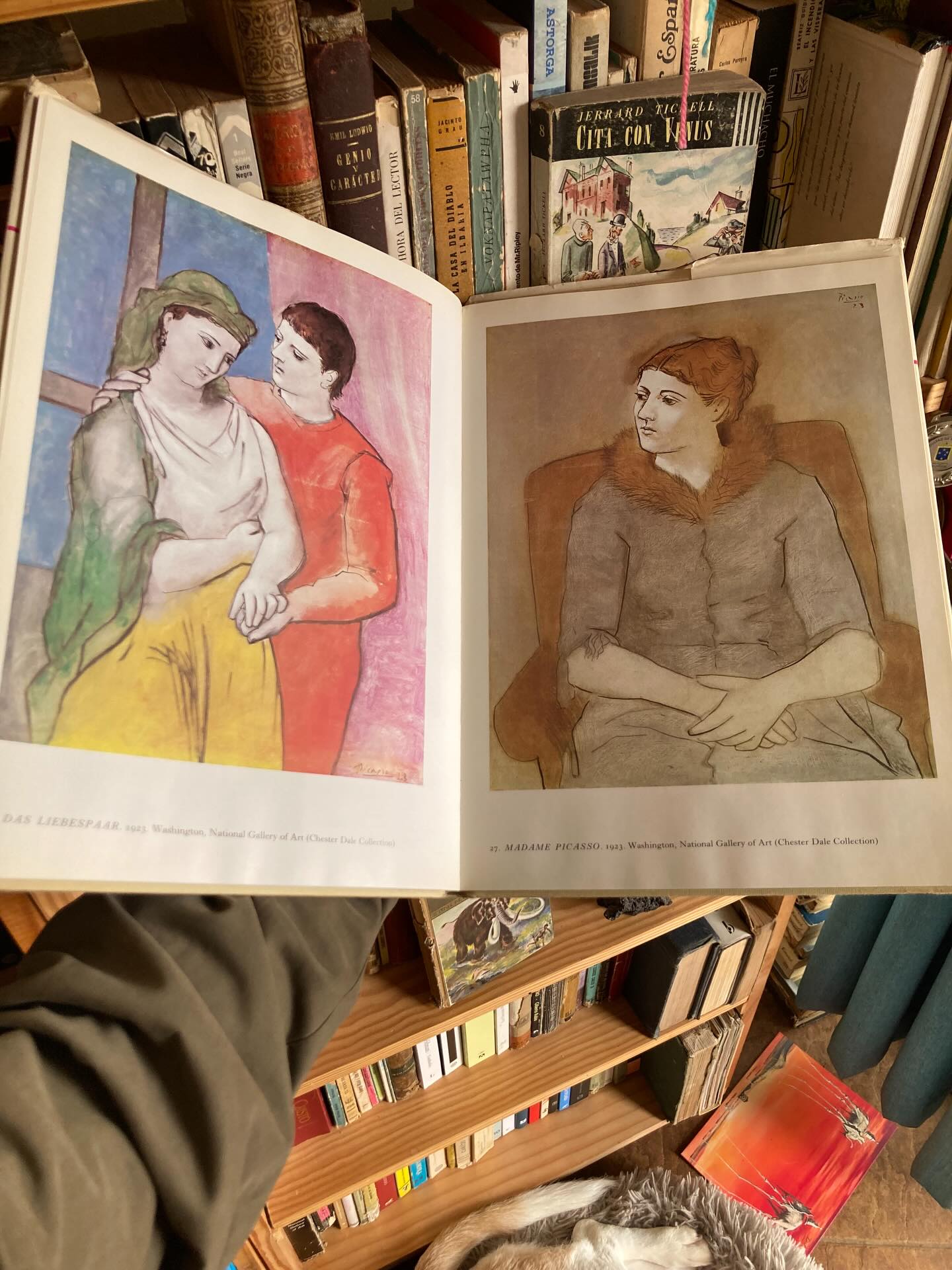 Picasso. Mit 48 Farbtafeln - Imagen 6