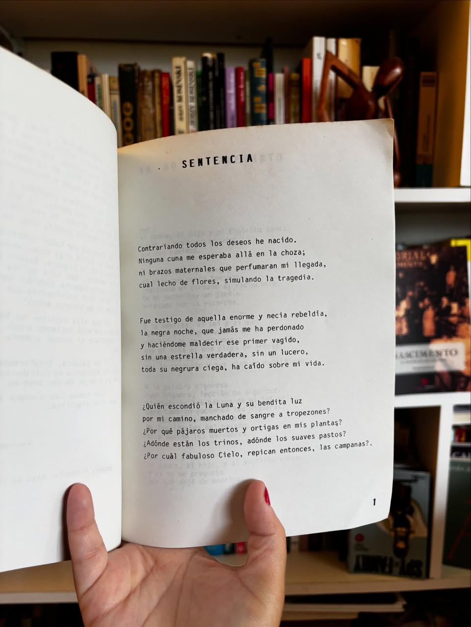 Prosa cortada - Imagen 4