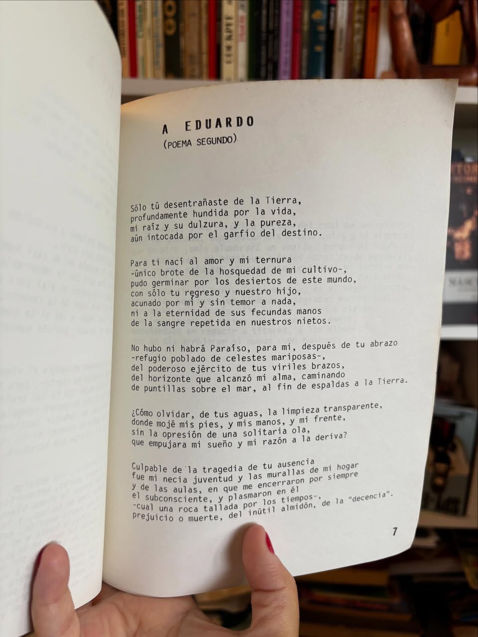 Prosa cortada - Imagen 5