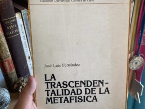 La trascendentalidad de la metafísica