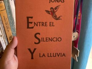 Entre el silencio y la lluvia