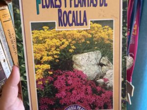 Flores y Plantas Rocalla