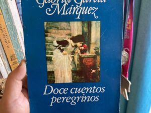 Doce cuentos peregrinos