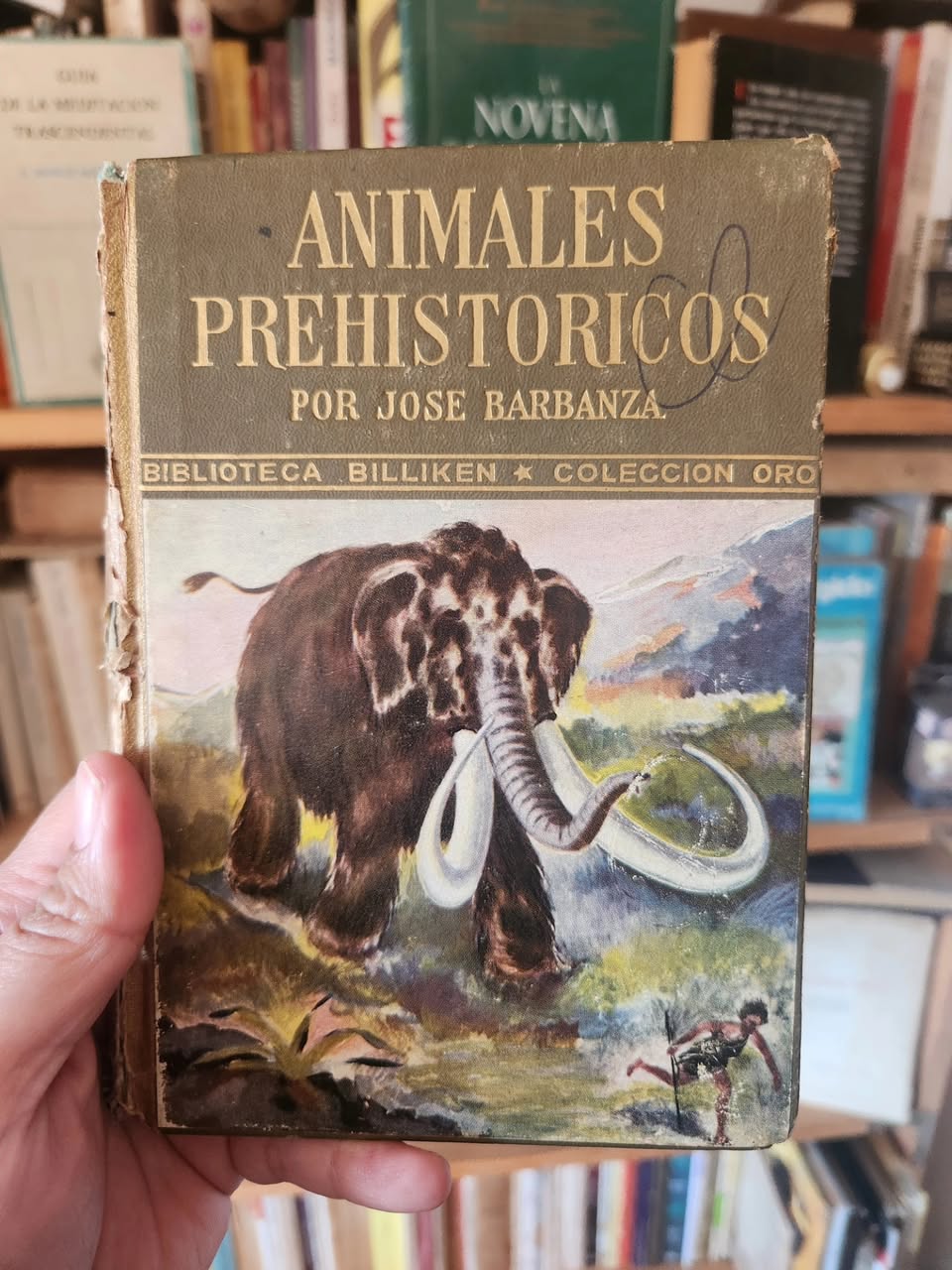 Animales Prehistóricos
