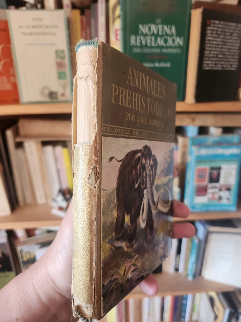 Animales Prehistóricos - Imagen 2