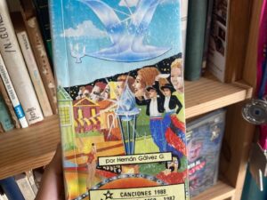 La gaviota de la ilusión