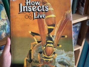 How insects live