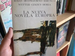 La nueva novela europea