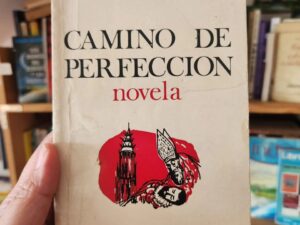 Camino de perfección