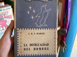 La desigualdad del hombre