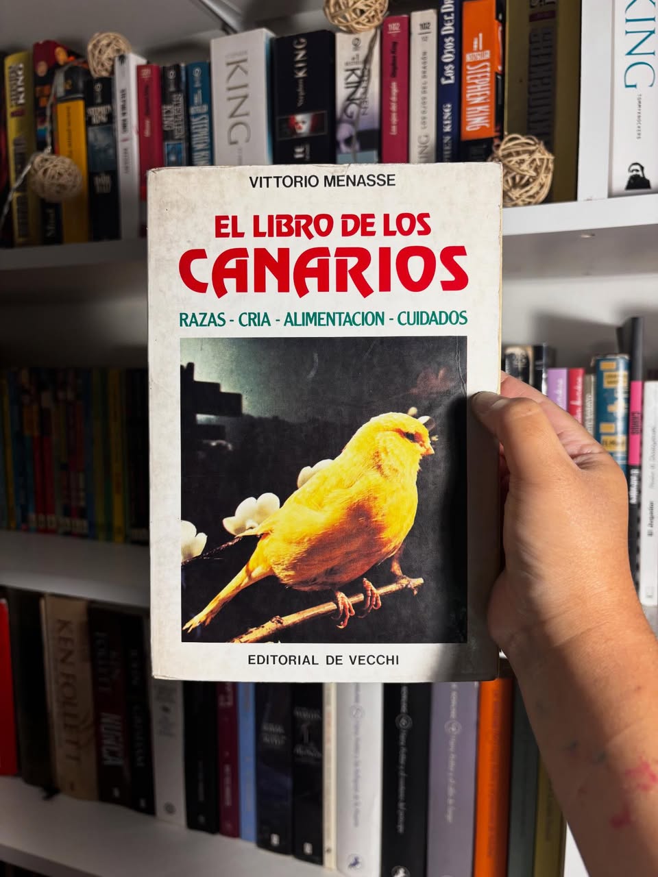 El libro de los canarios