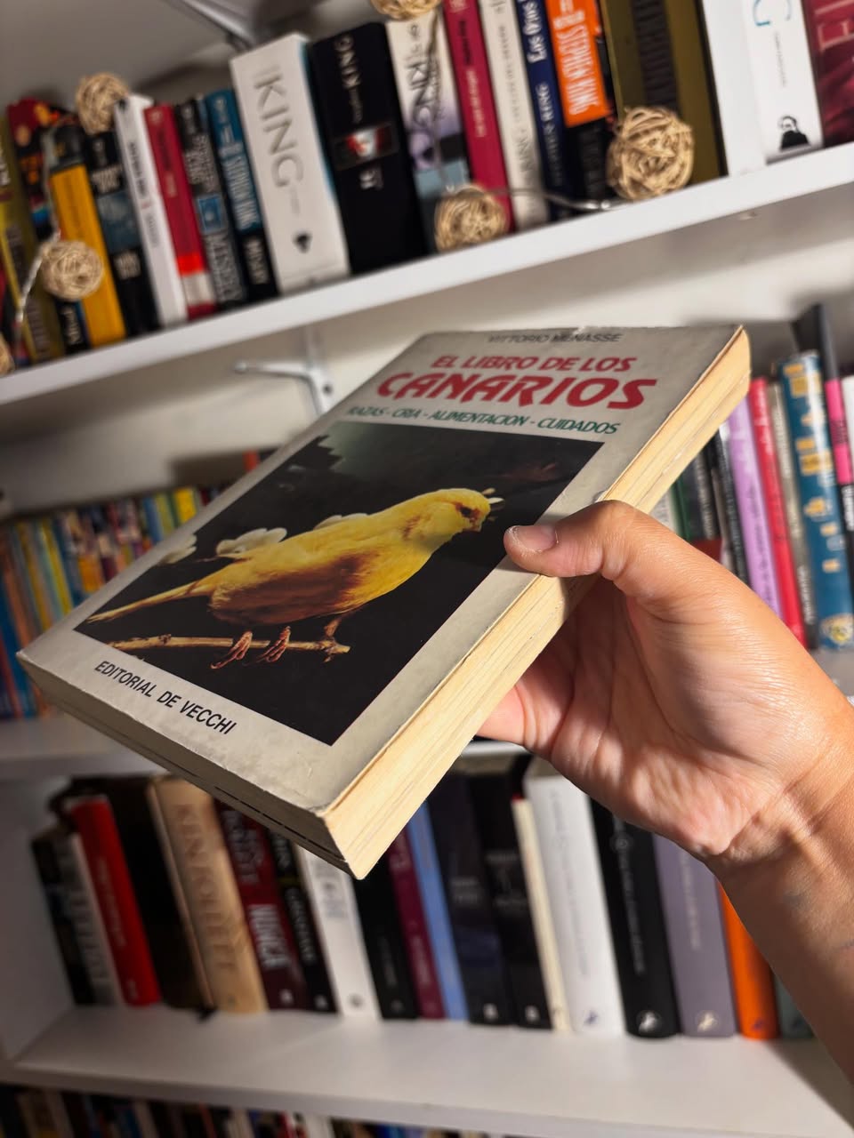 El libro de los canarios - Imagen 4