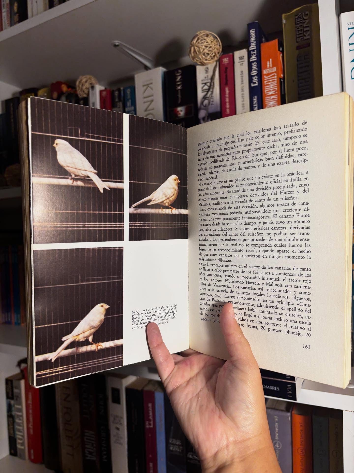 El libro de los canarios - Imagen 7