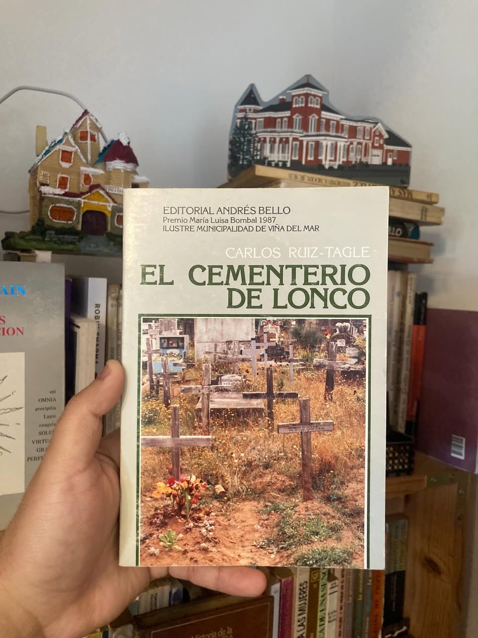 El cementerio de Lonco