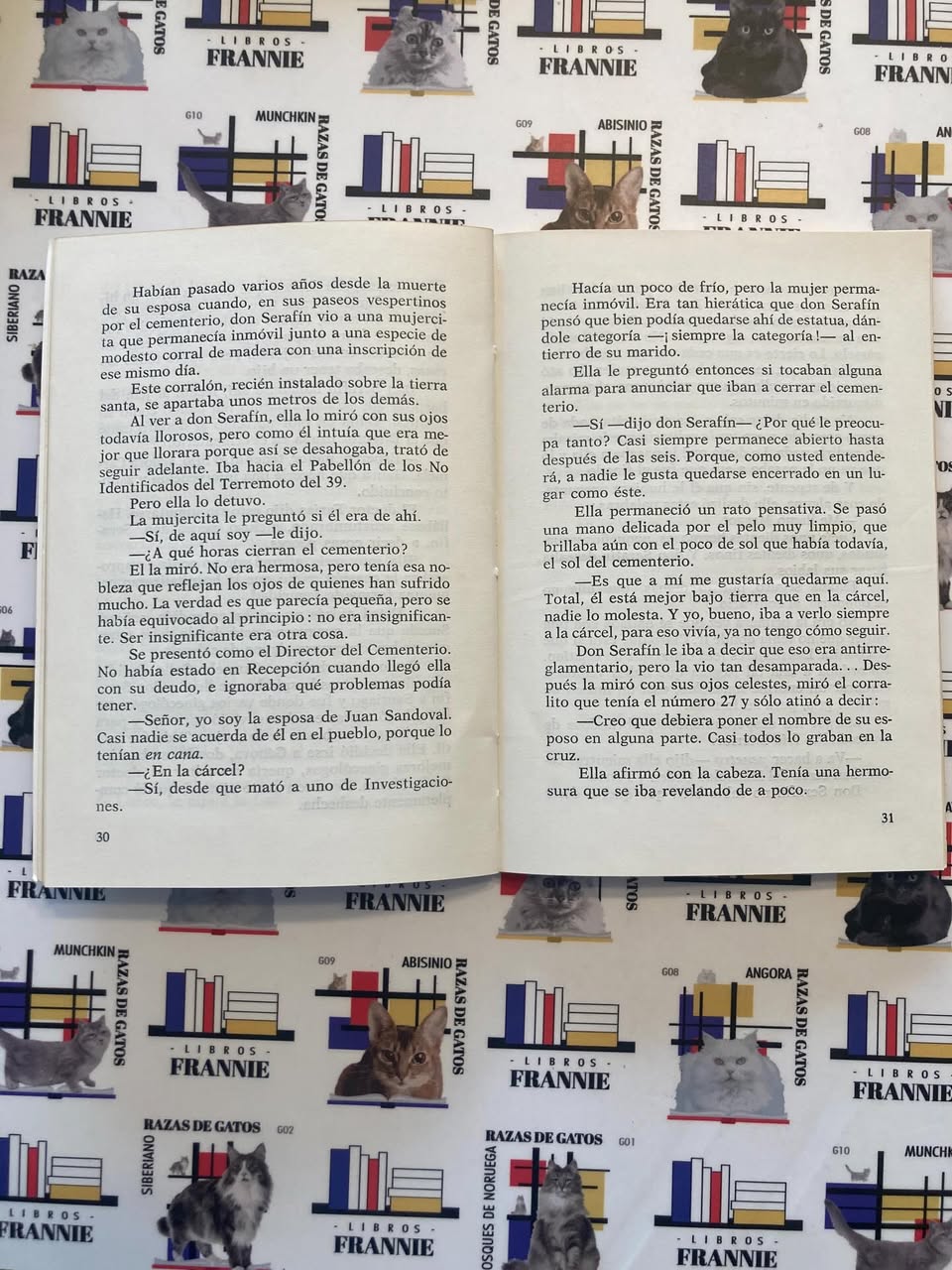El cementerio de Lonco - Imagen 4