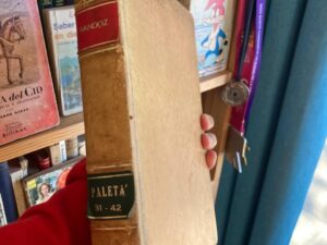Empastado Revista paleta